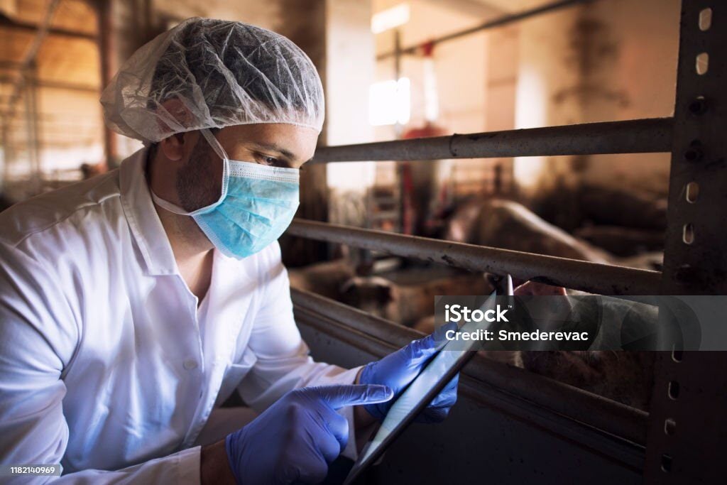 istockphoto-1182140969-1024x1024