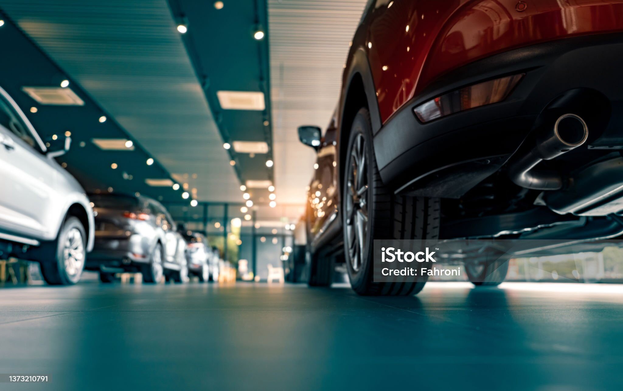 istockphoto-1373210791-2048x2048